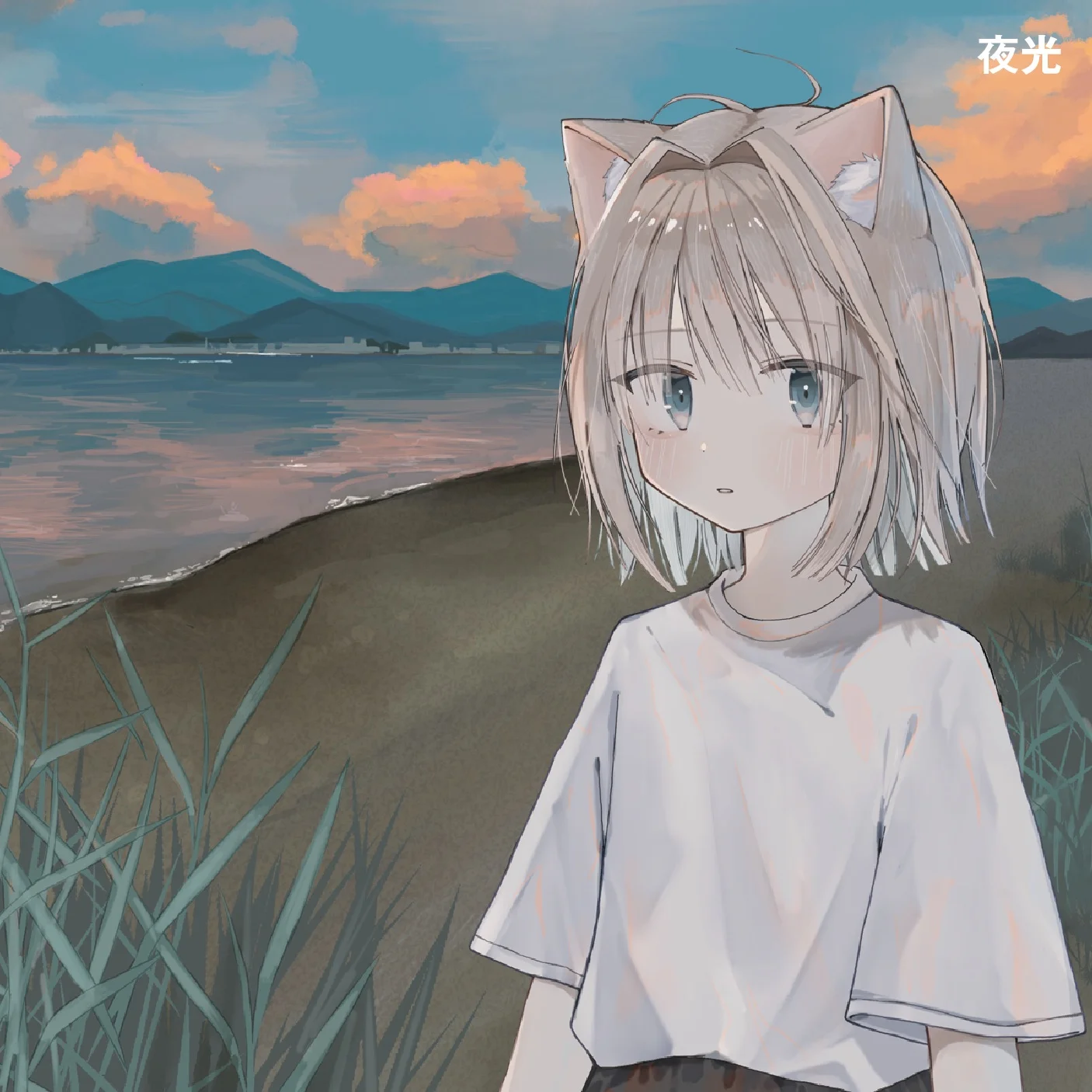 夜光
